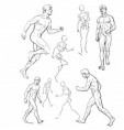 /album/fotogaleria/fig-en-mov-jpg/